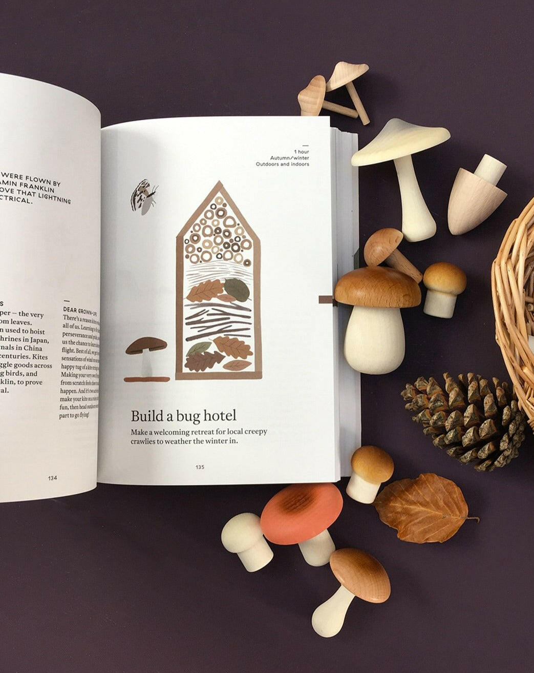 The Nature of Play Children's Book Fanny & Alexander