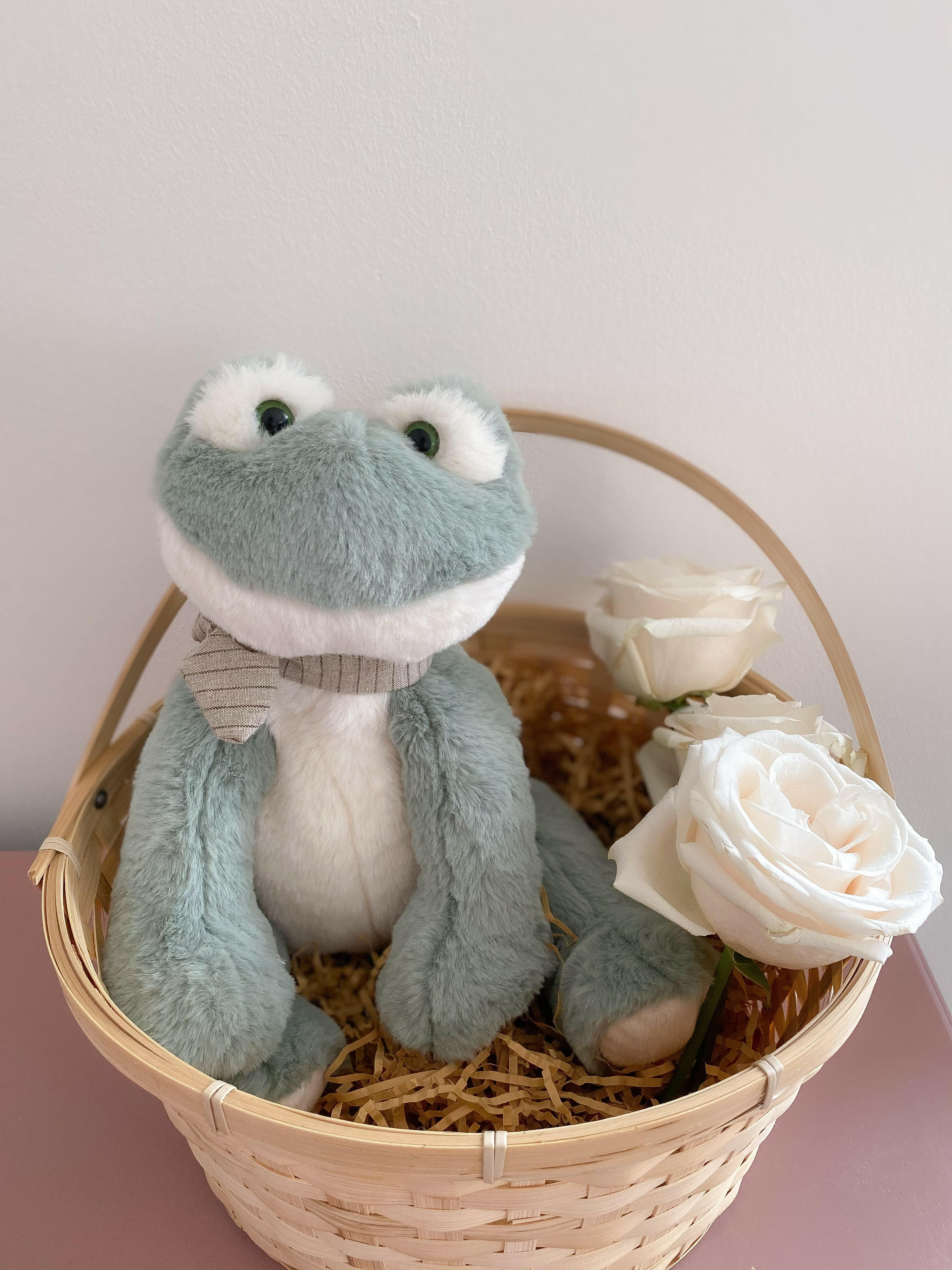 'FITZGERALD' THE FROG PLUSH TOY Stuffed Toy MON AMI