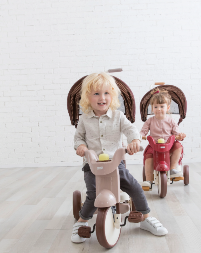 Foldable Tricycle With Canopy 3-In-1 Bikes iimo USA store