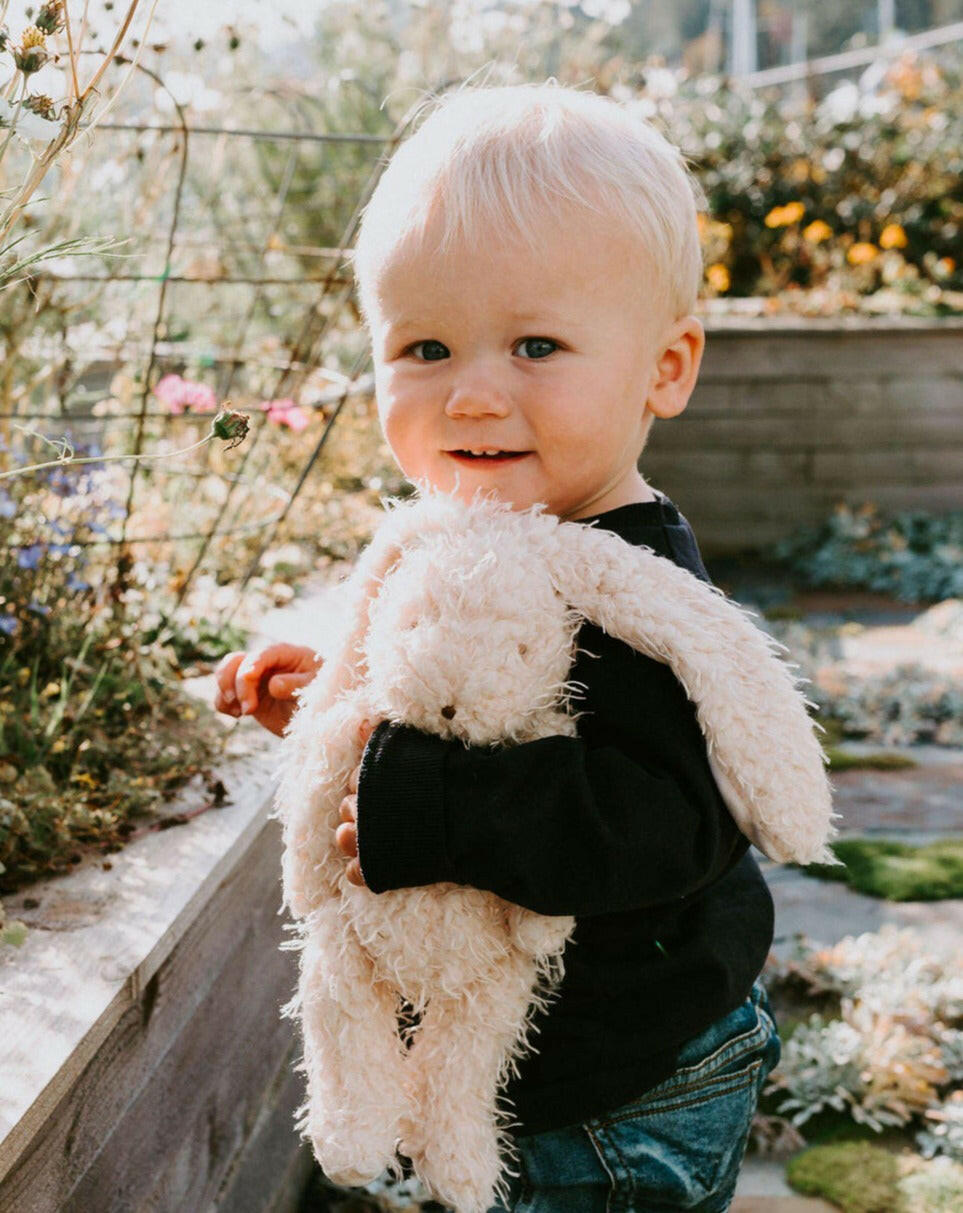 Harey the Bunny Stuffies Bunnies by the Bay
