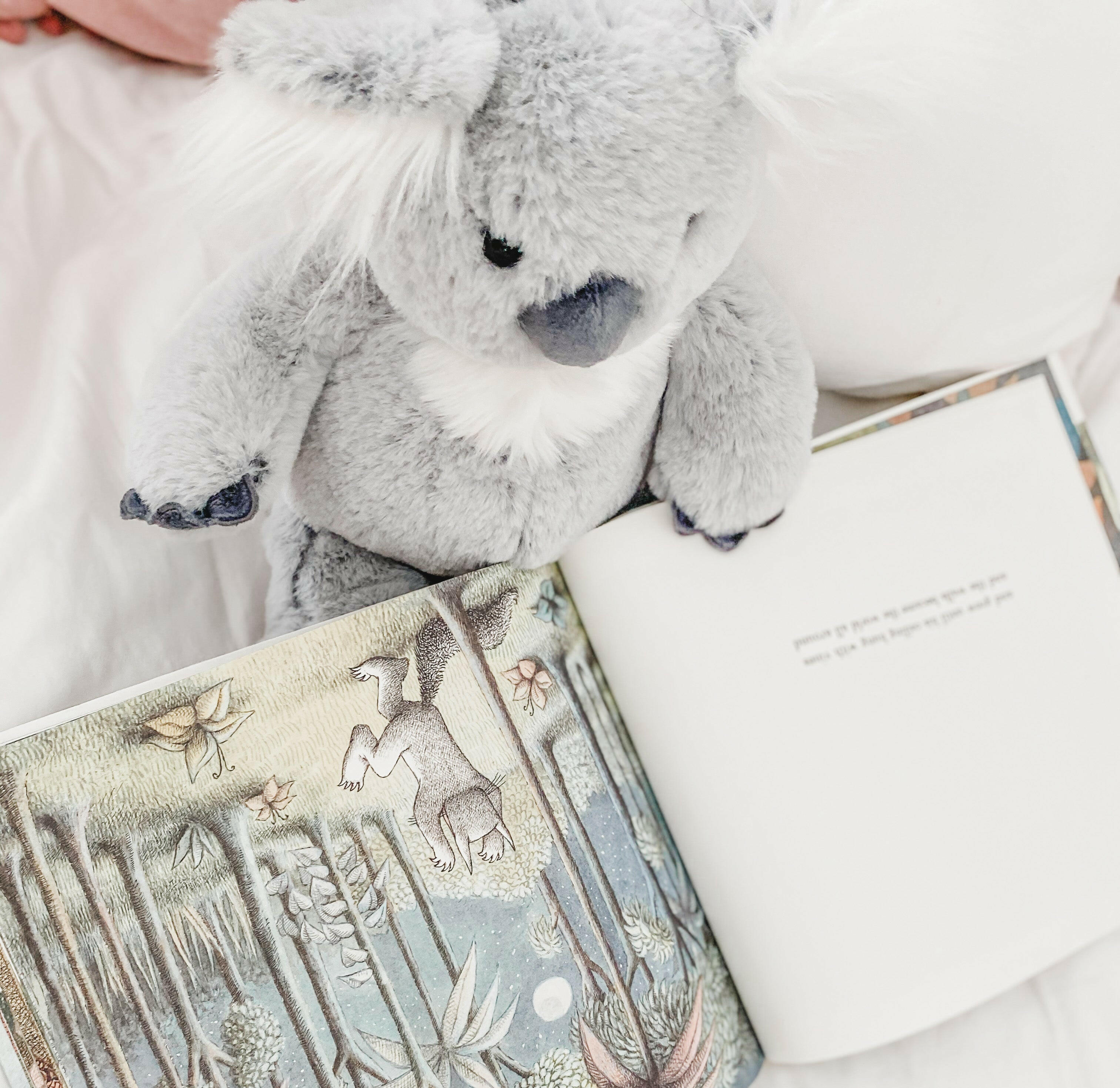 'Sydney' Koala Plush Toy Stuffed Toy MON AMI