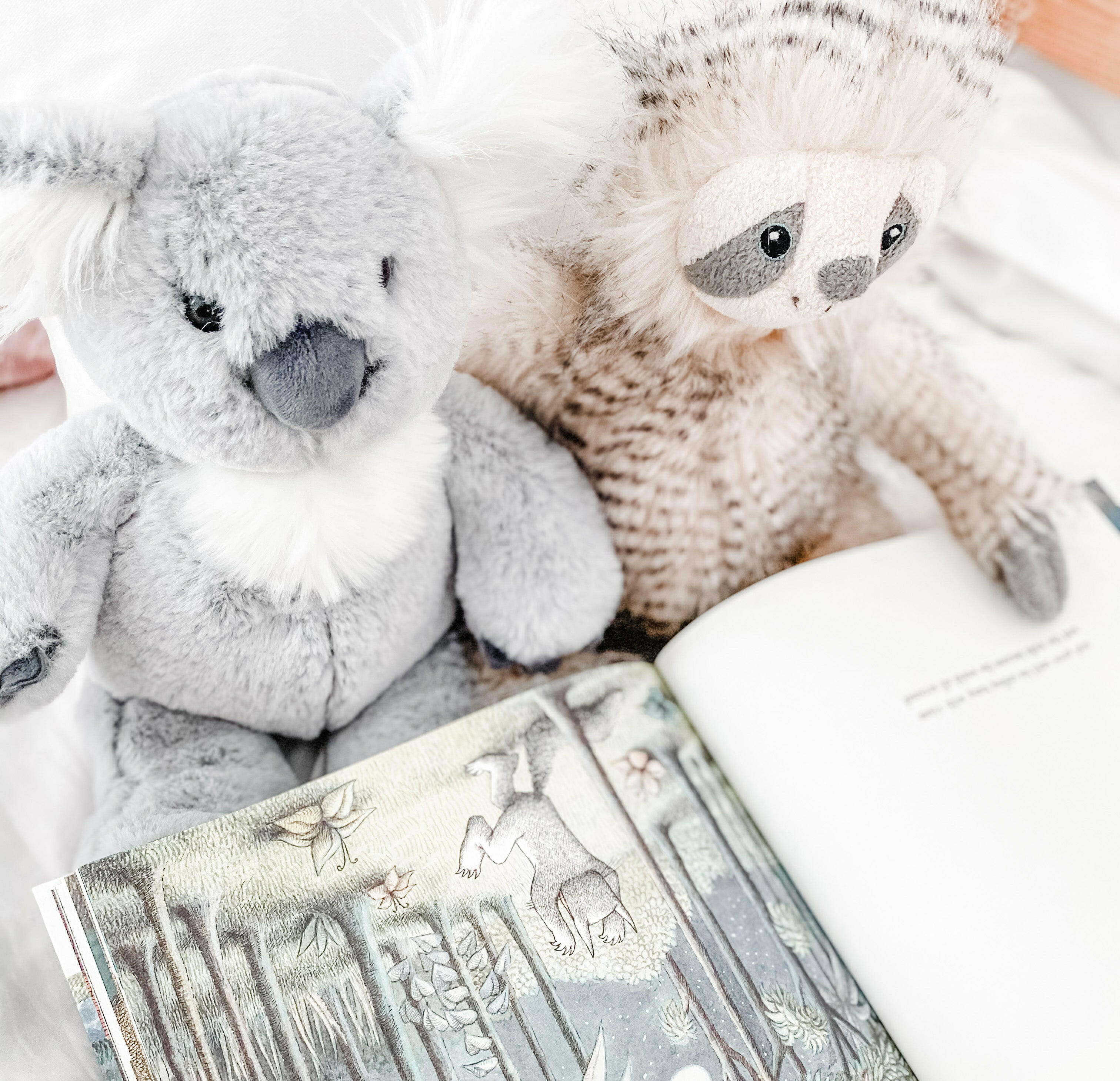 'Sydney' Koala Plush Toy Stuffed Toy MON AMI