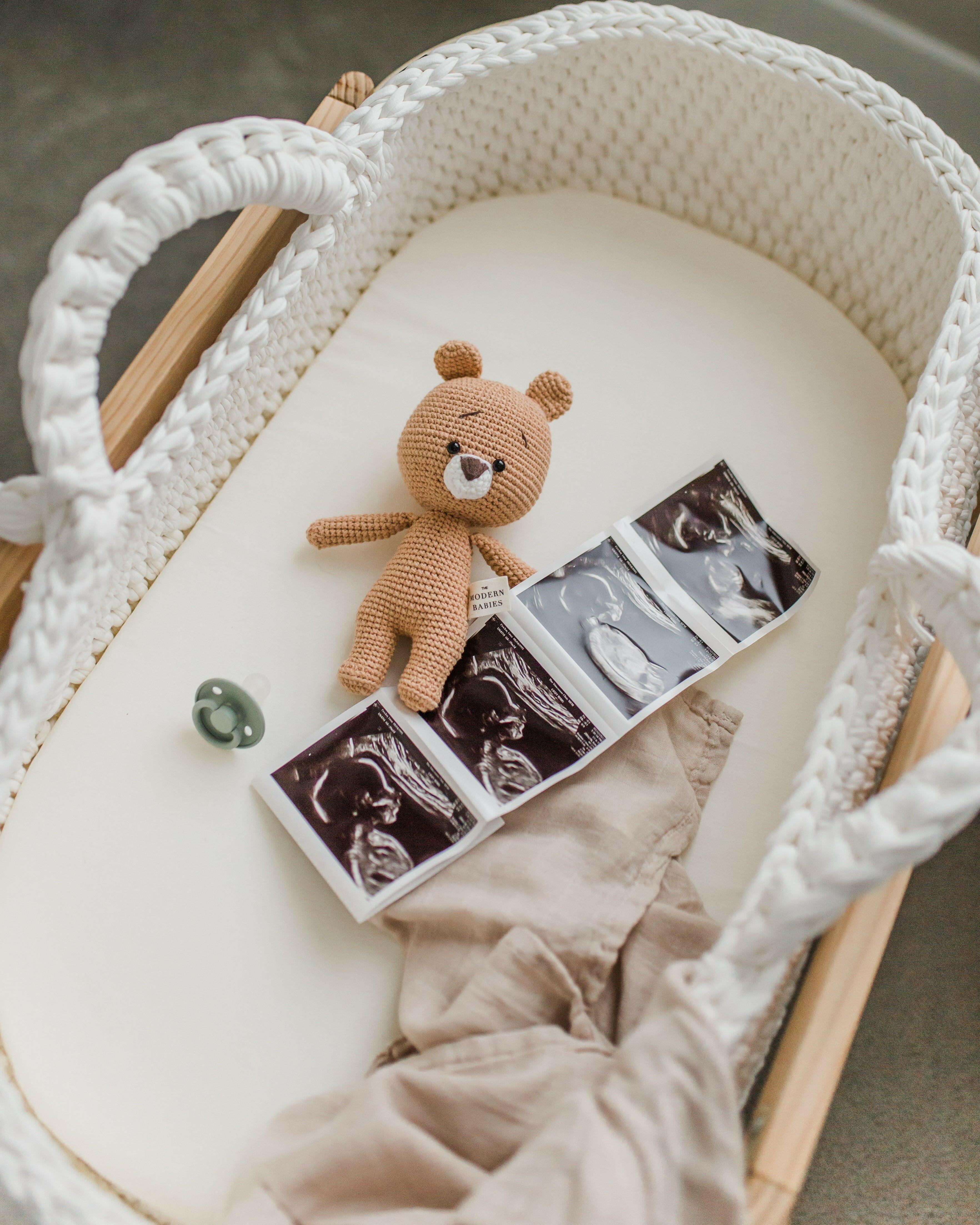 Teddy the Bear Baby & Toddler The Modern Babies