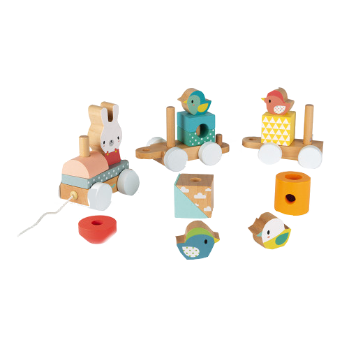 Pure Train Wooden Toys Janod