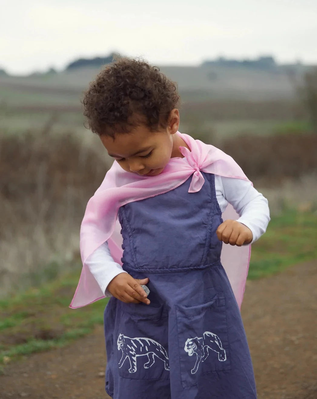 Sarah's Silks Mini Playsilks Pretend Play Sarah's Silks