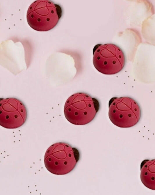 Chocolate Love Bugs Valentines Choc on Choc