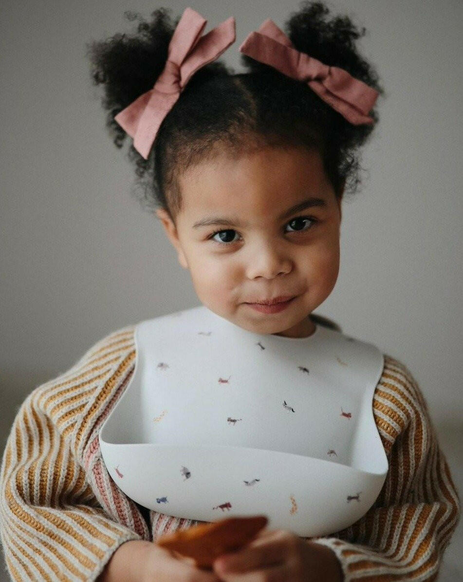 Silicone Baby Bib - Dinosaurs feeding Mushie