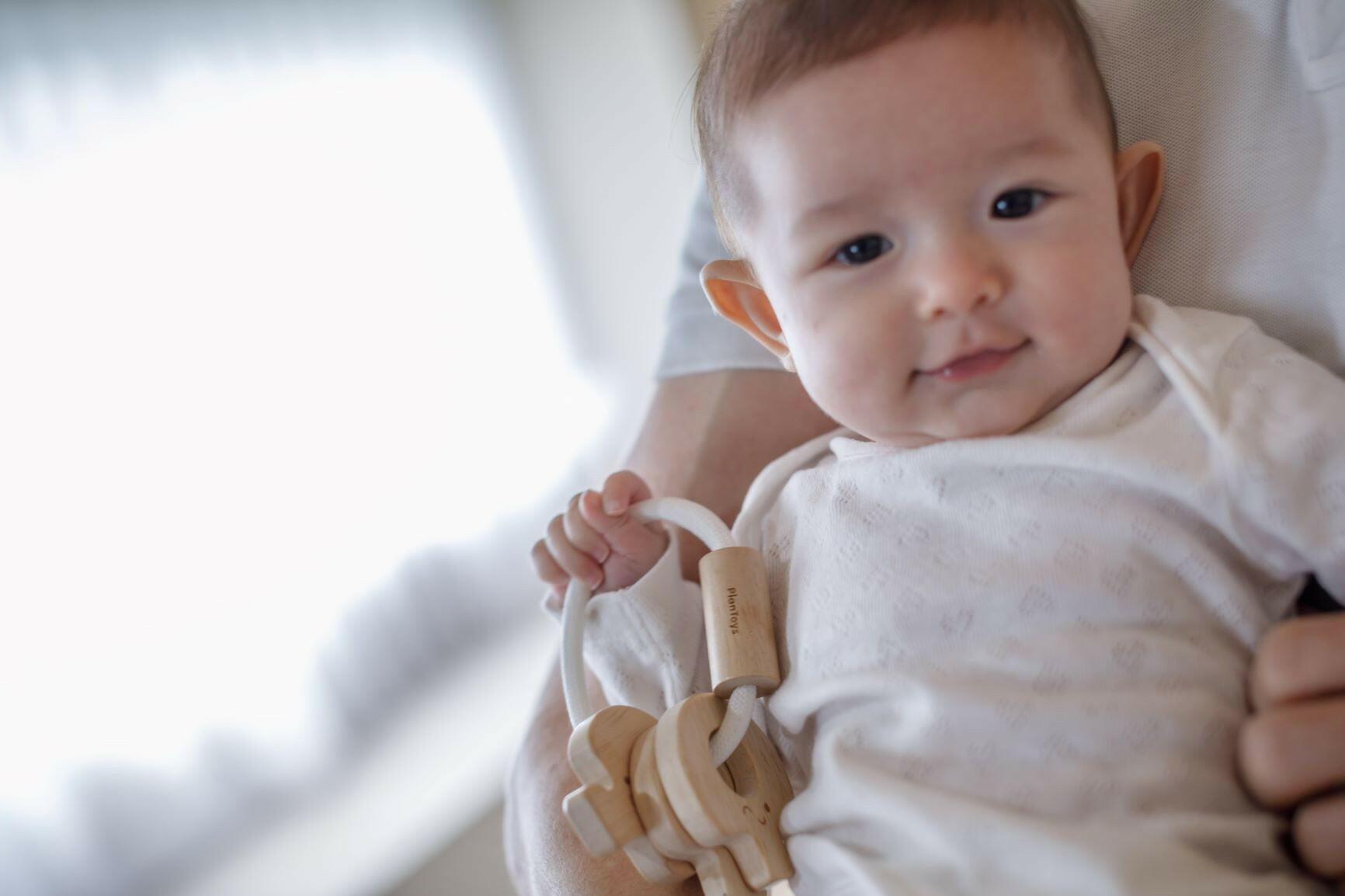 Baby Key Rattle - Natural PlanToys