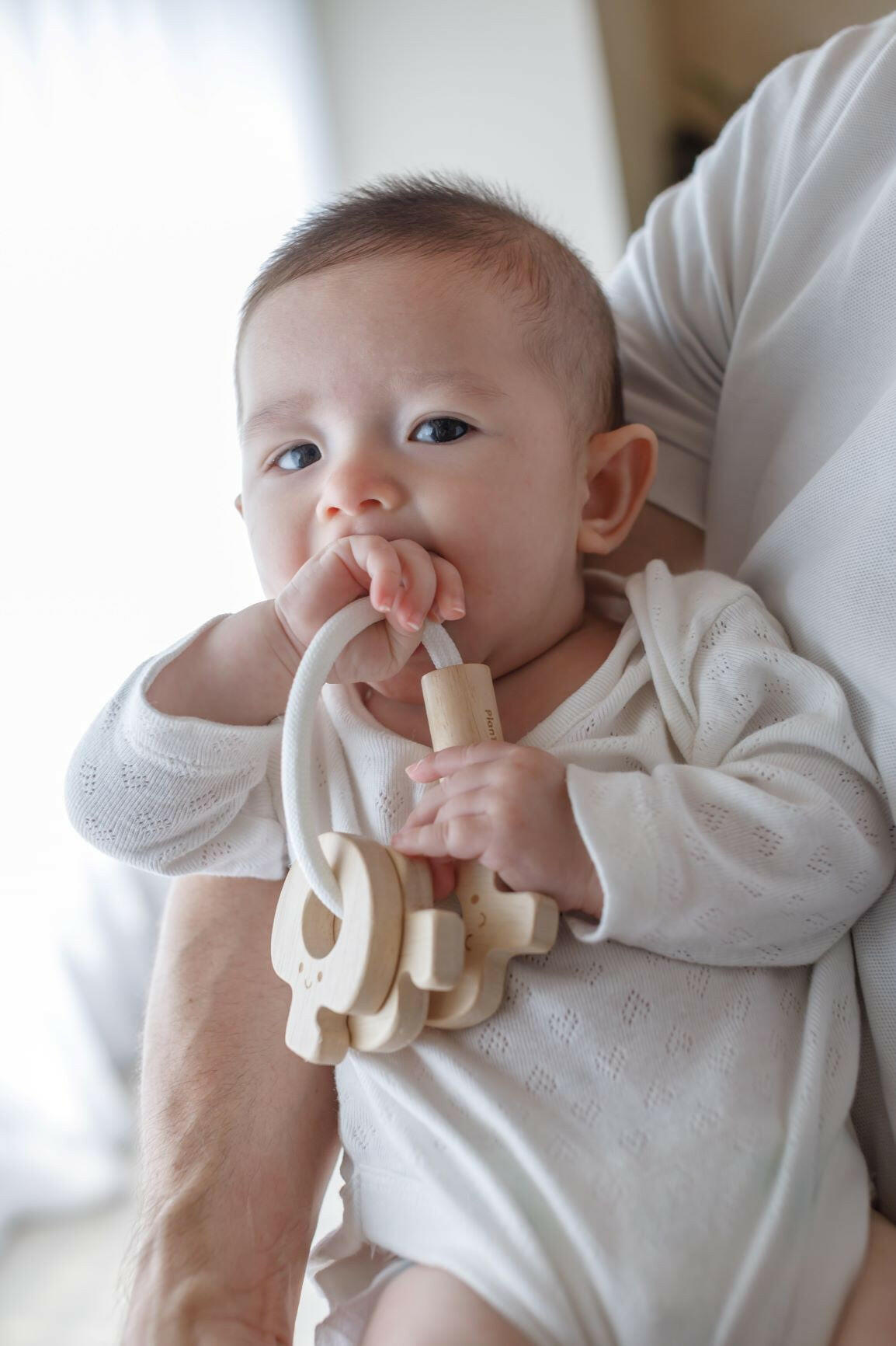 Baby Key Rattle - Natural PlanToys