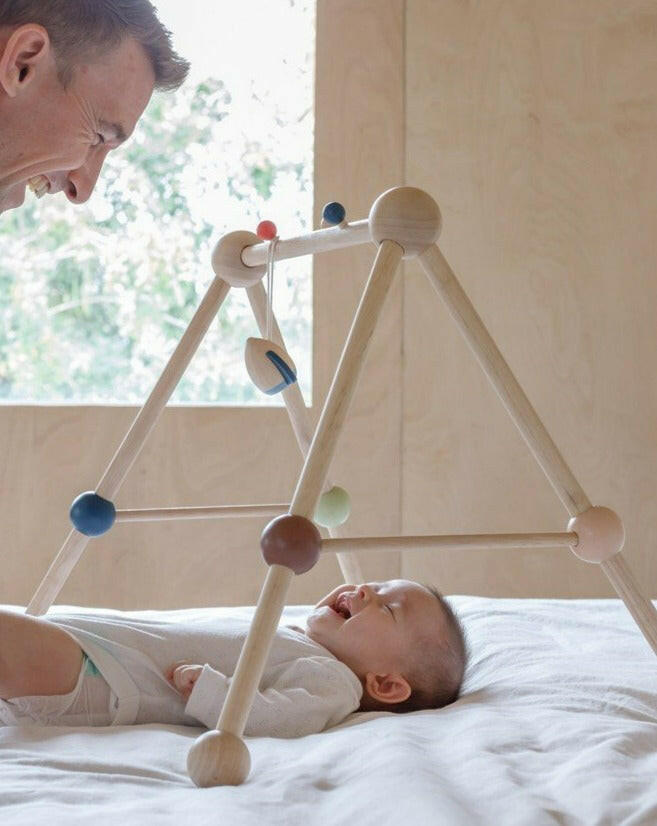 Play Gym - Orchard Play Gyms PlanToys