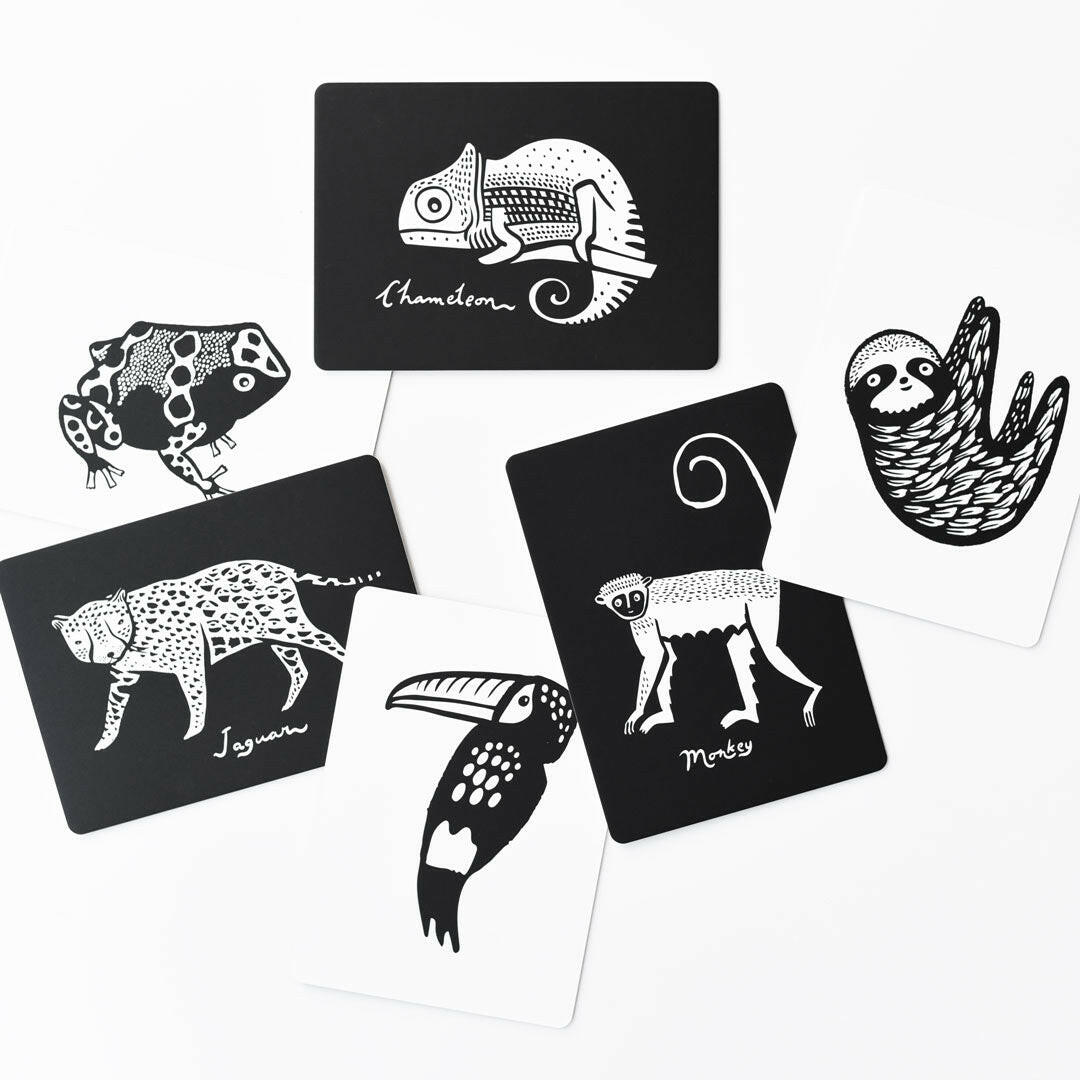 Rainforest Art Cards Kids Toys Wee Gallery