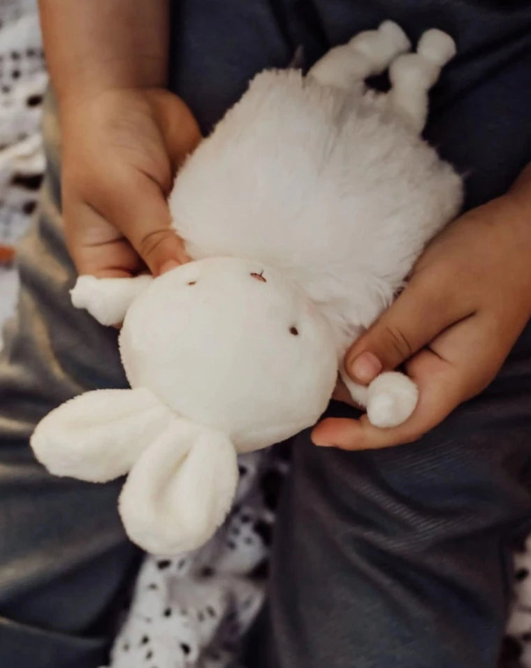Roly Poly Bun Bun Stuffies Bunnies by the Bay