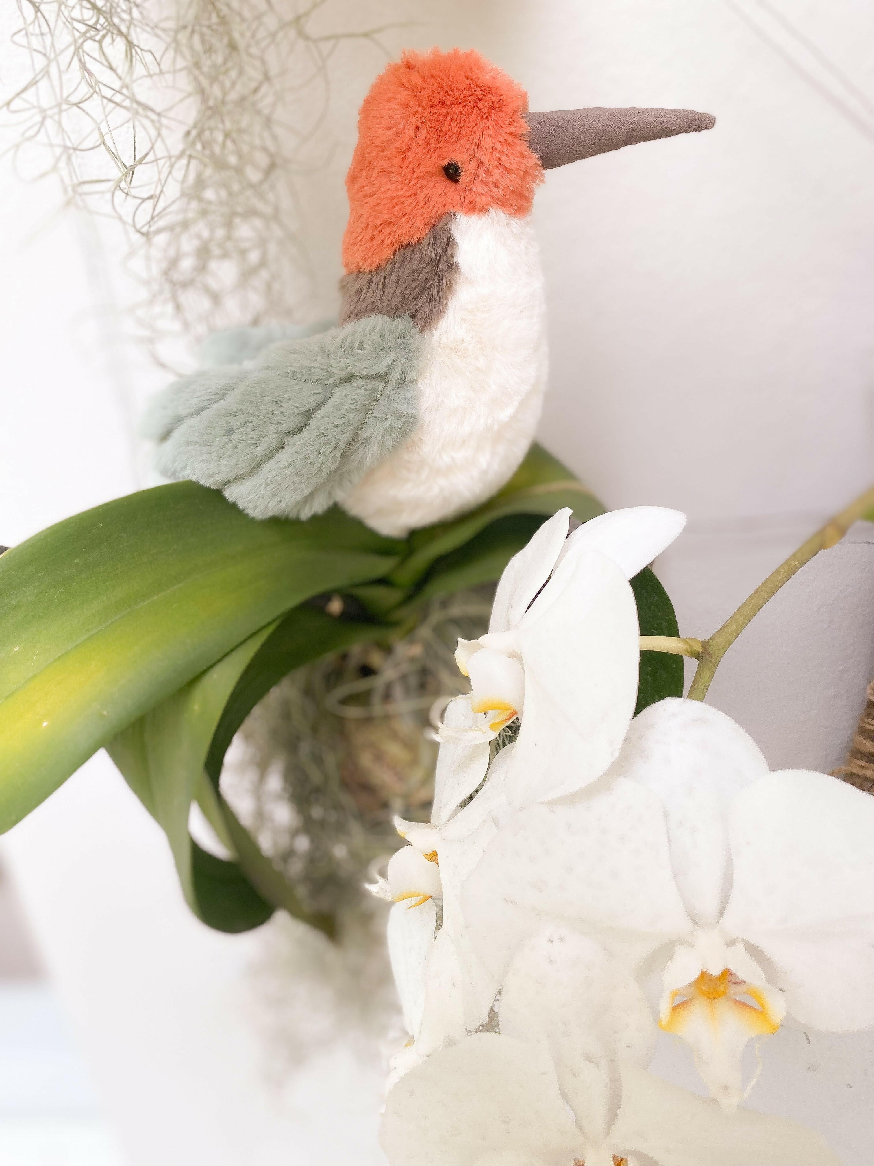 HUMMINGBIRD Stuffed Toy MON AMI