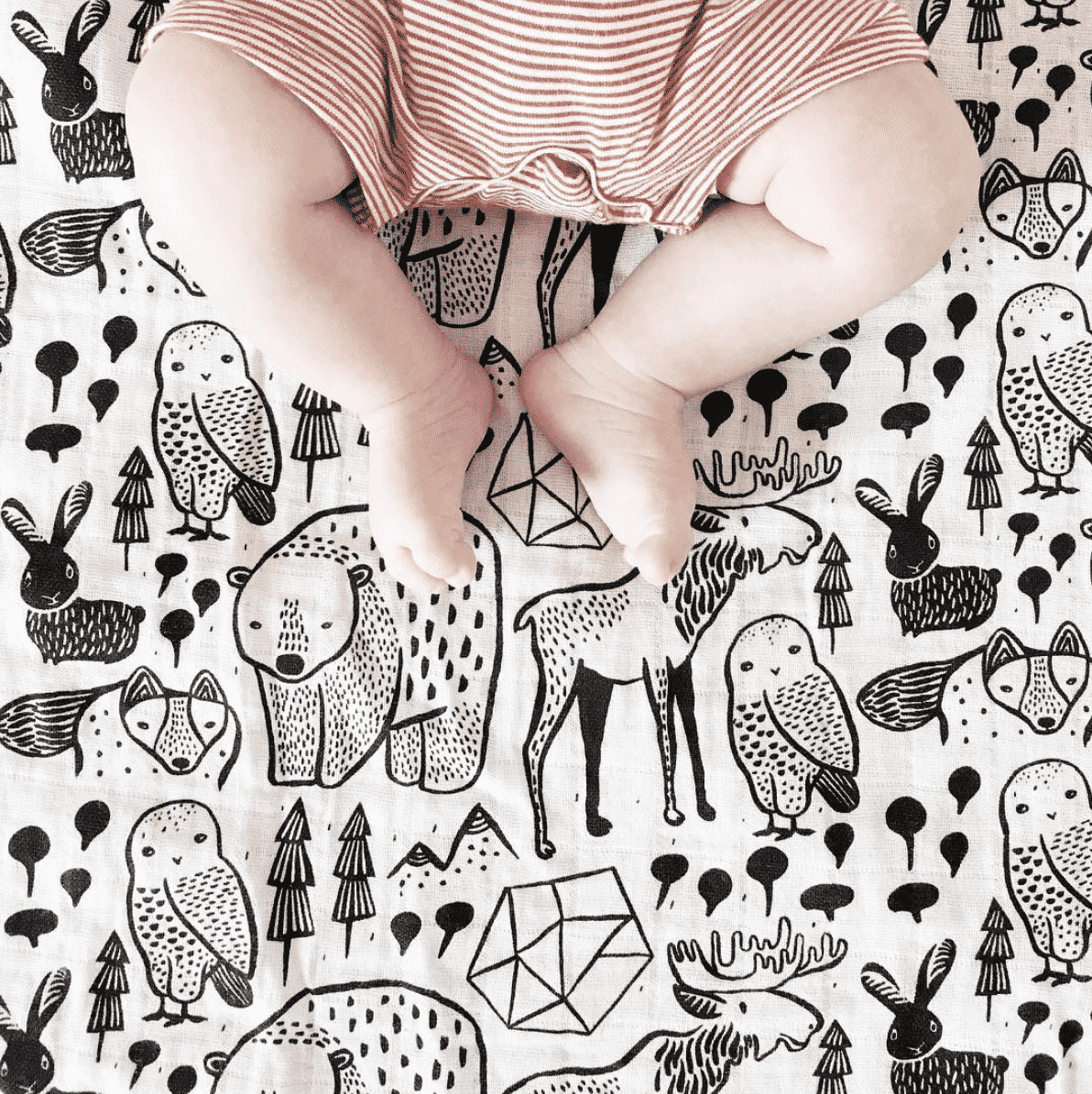 Organic Muslin Swaddle - Nordic Swaddles Wee Gallery