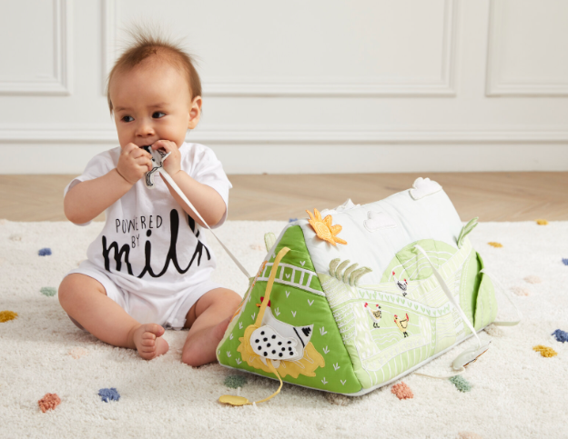 Farm Activity Tummy Time Toy Wonder and Wise