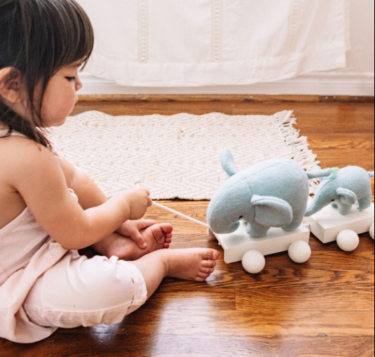 ELEPHANT PULL TOY Wonder and Wise