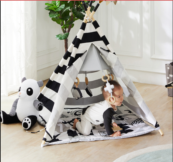 ABC Baby Activity Tent Wonder and Wise