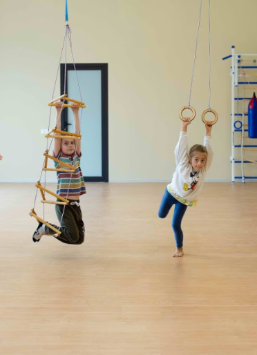 2in1 Swings Set: Triangle rope ladder + Gymnastic rings 2in1 Swing Set Goodevas