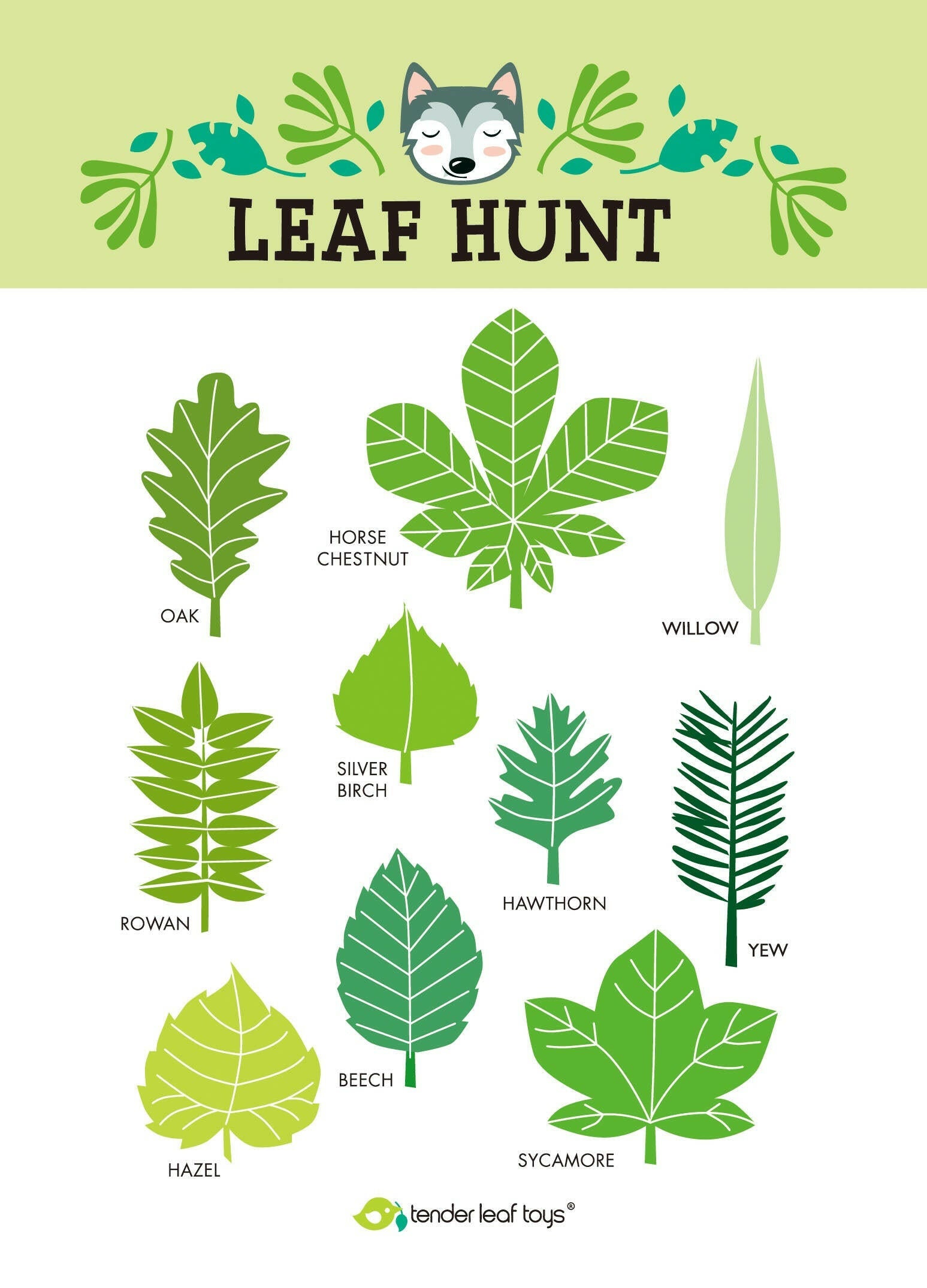 Forest Trail Kit Tender Leaf