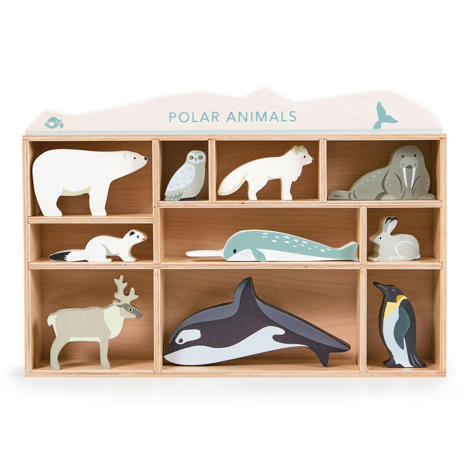 Polar Animals  Tender Leaf