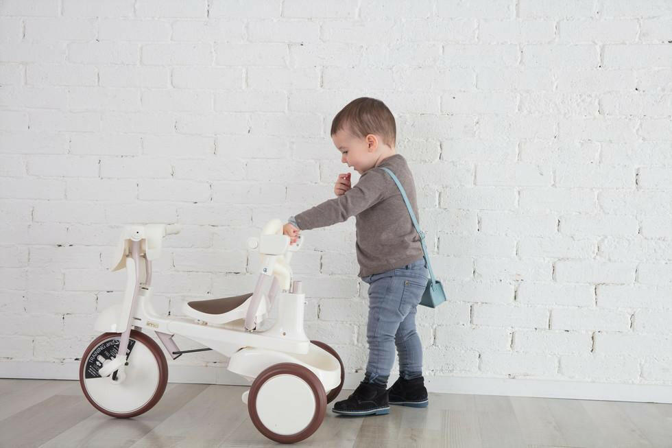 Foldable Tricycle With Canopy 3-In-1 Bikes iimo USA store