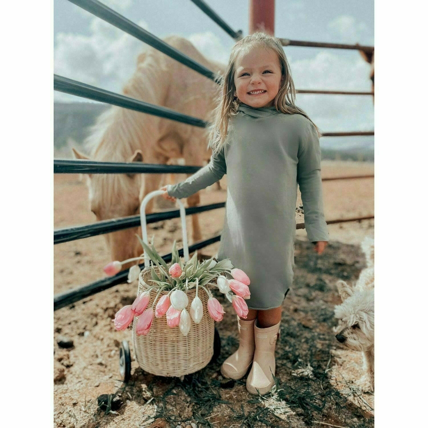 Organic Luna Hoodie Dress Dresses Be Mi Los Angeles