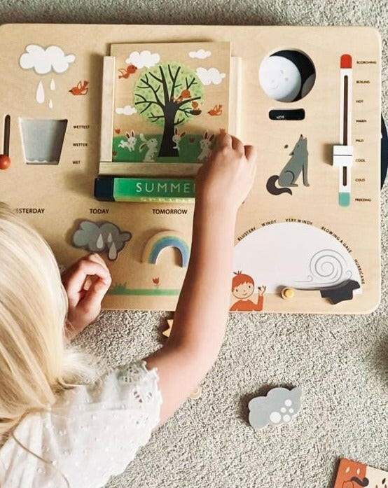 Weather Watch Kids Toys Tender Leaf