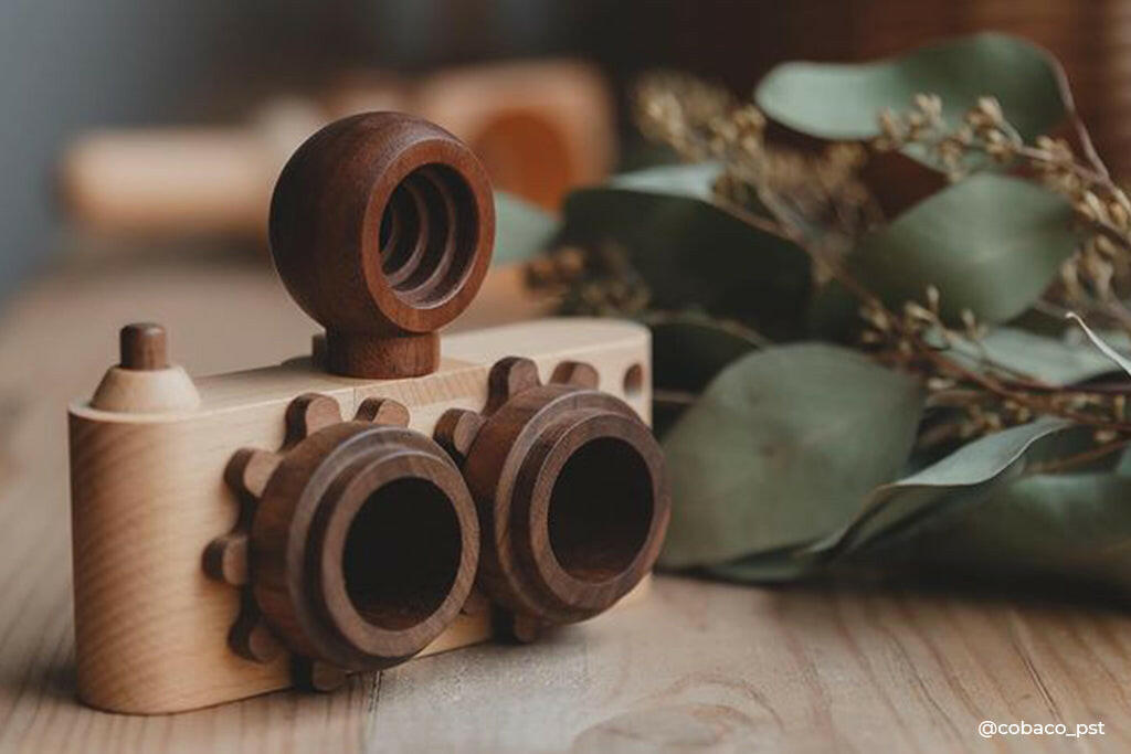 Twinkle Camera - Beechwood Camera Body W/ Walnut Lens wooden toy Father's Factory