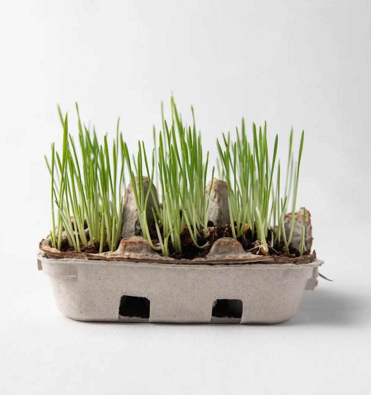 Egg Coloring Kit Art Supplies Eco Kids