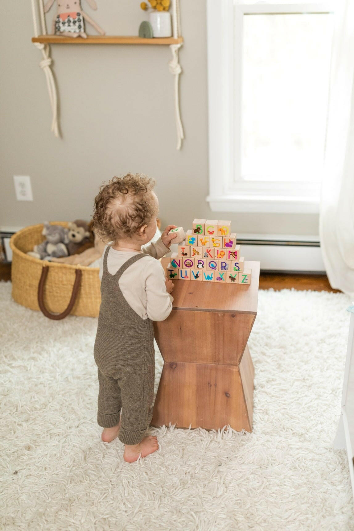 Animal ABC Blocks Wooden Blocks Bannor Toys
