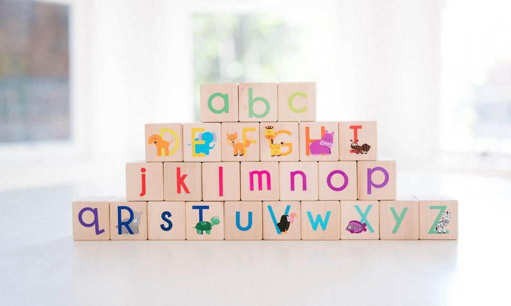 Animal ABC Blocks Wooden Blocks Bannor Toys