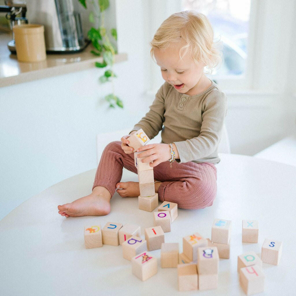 Animal ABC Blocks Wooden Blocks Bannor Toys