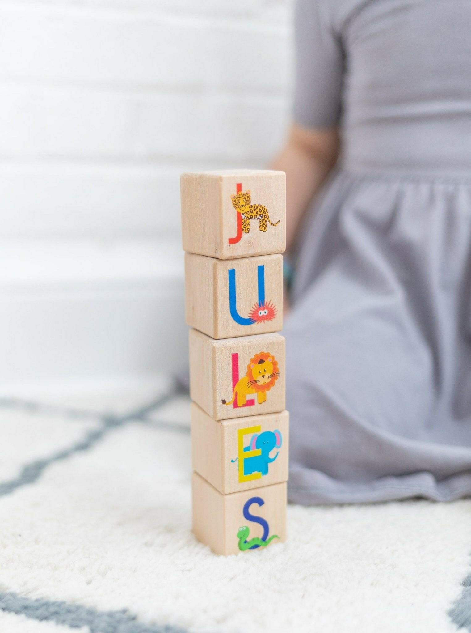 Animal ABC Blocks Wooden Blocks Bannor Toys