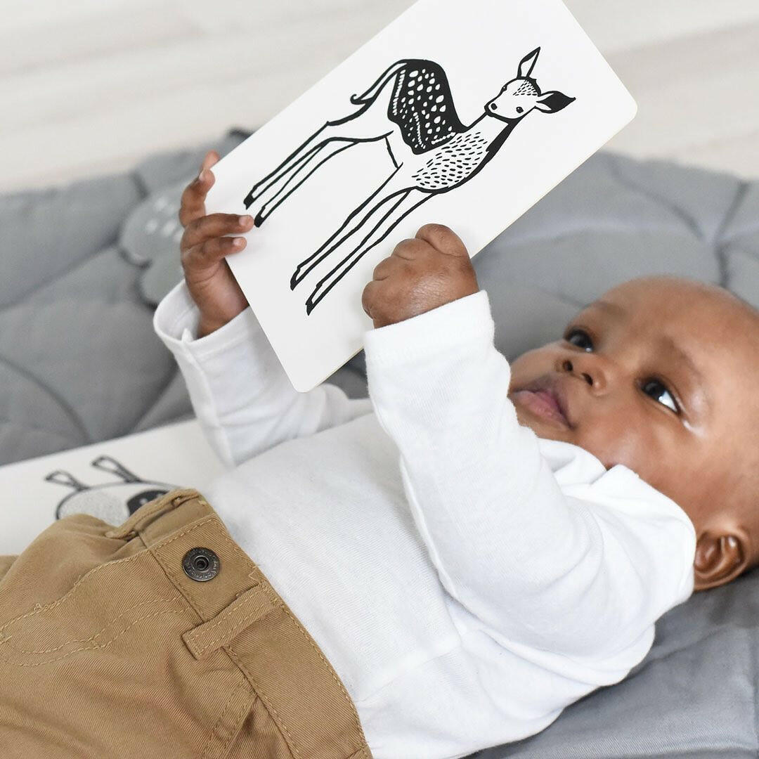 Baby Animal Art Cards Kids Toys Wee Gallery