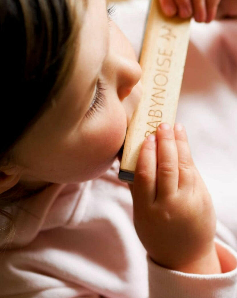 Harmonica Musical Toys Babynoise