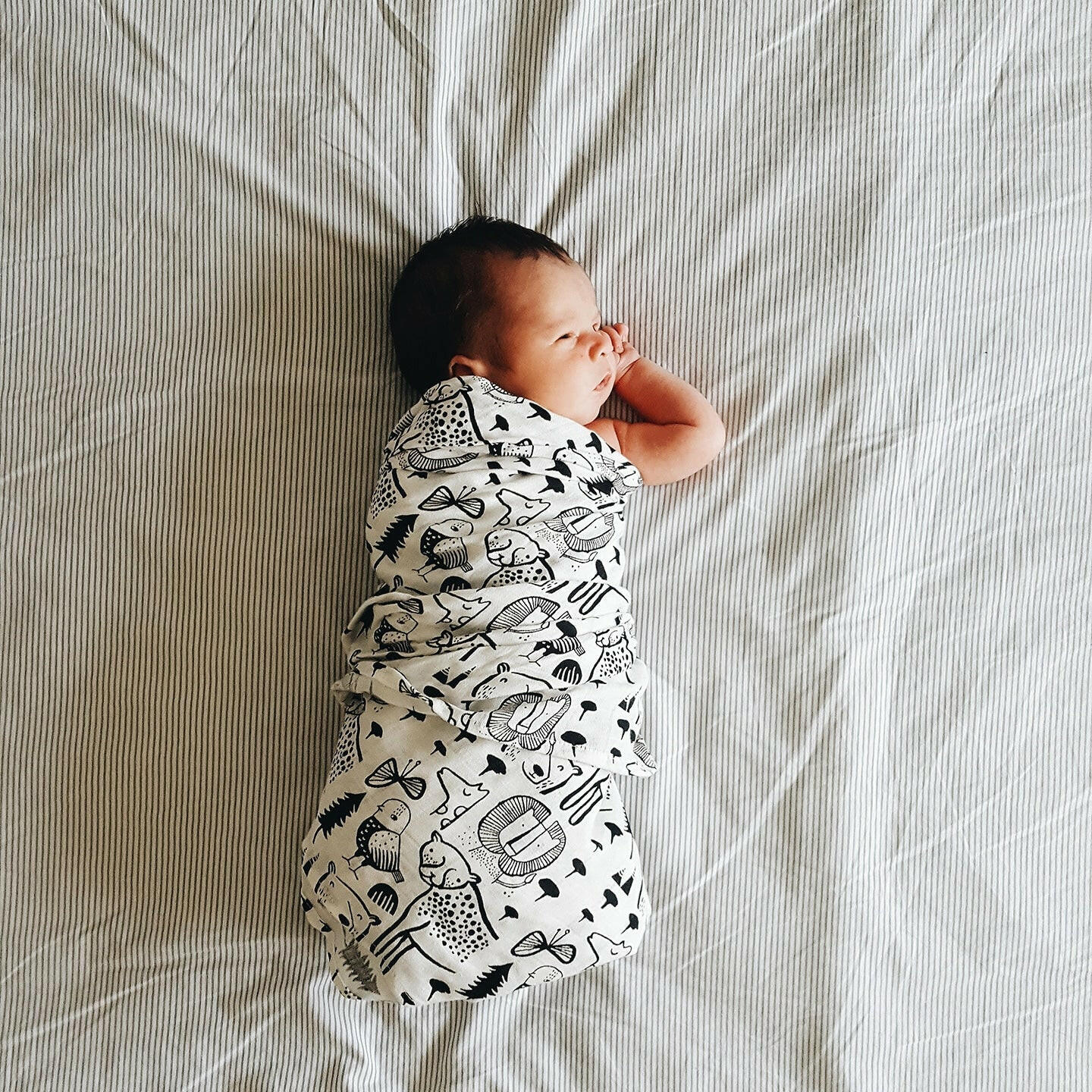 Organic Muslin Swaddle - Wild Swaddles Wee Gallery