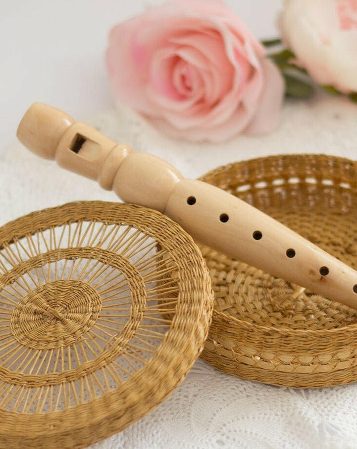 Recorder Musical Toys Babynoise
