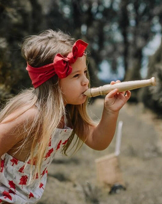 Recorder Musical Toys Babynoise