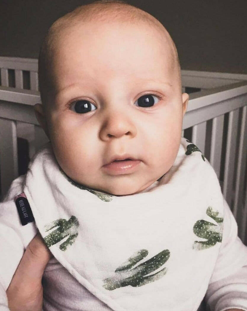 Saguaro Muslin Bandana Bib Feeding Bebe Au Lait