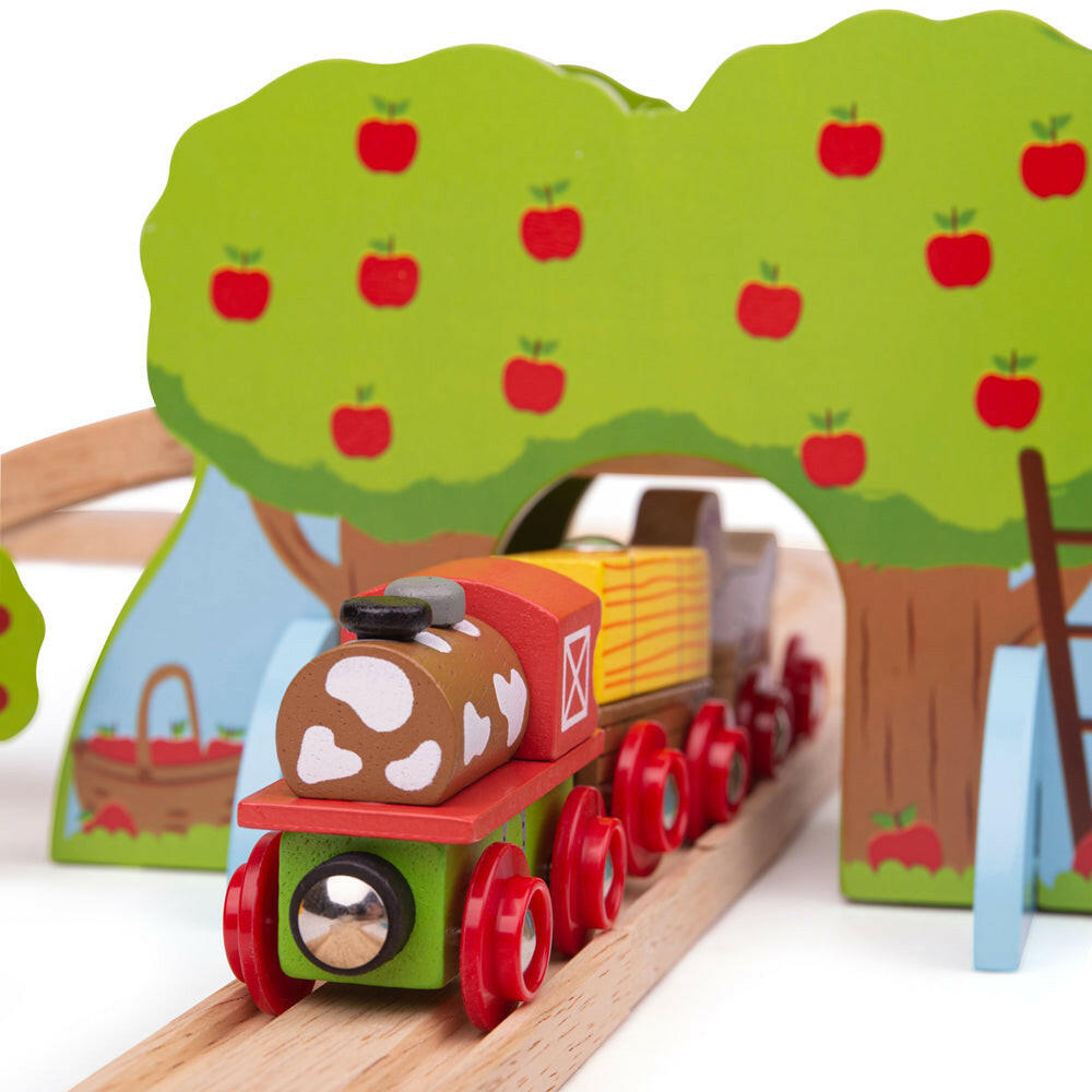 Farm Train Set by Bigjigs Toys US Bigjigs Toys US