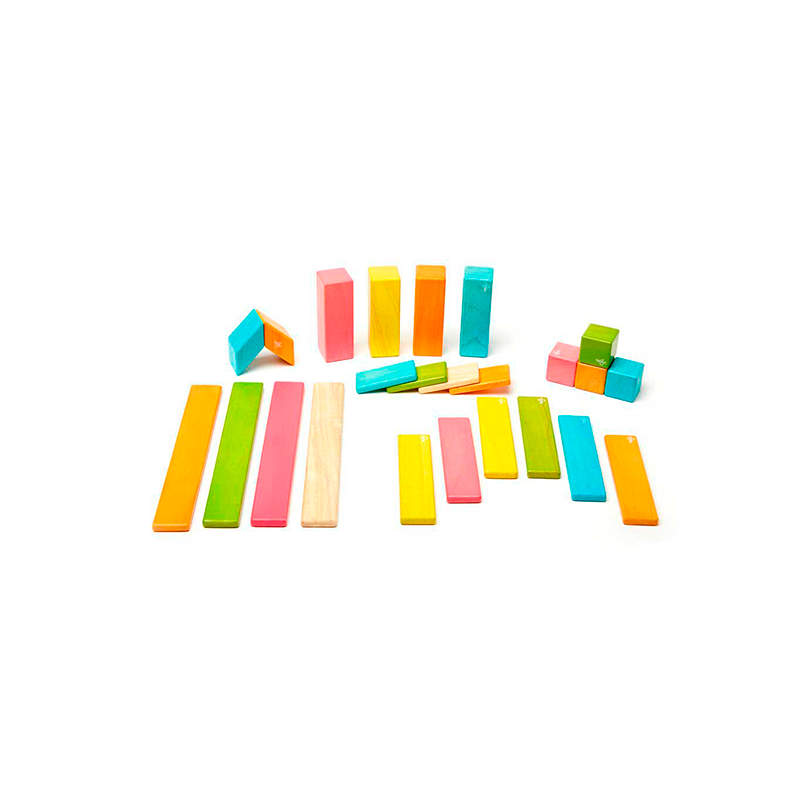 Tegu Classics 24-Piece Set Magnetic Wooden Blocks Kids Toys Tegu