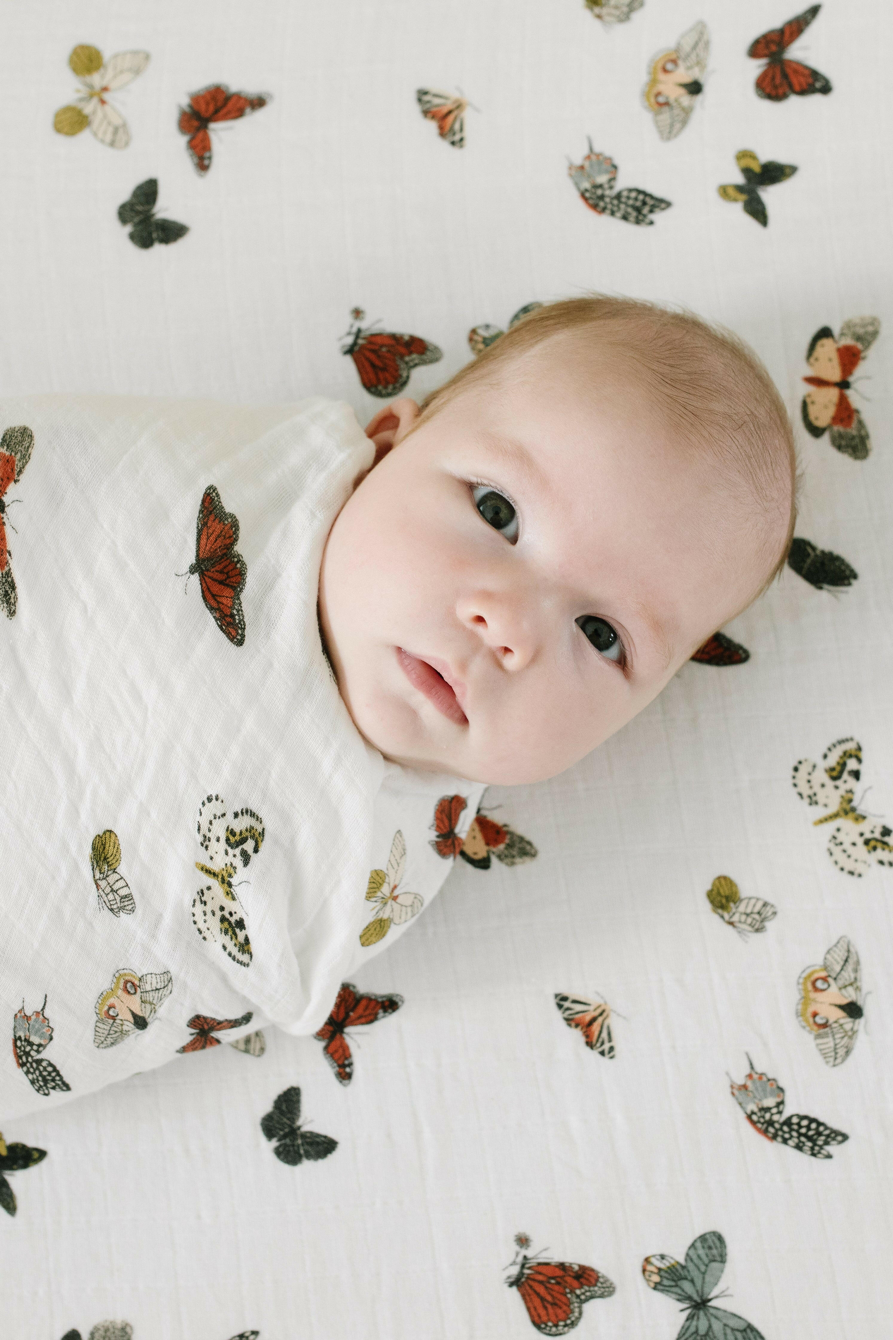 Butterfly Migration Crib Sheet Crib Sheets Clementine Kids