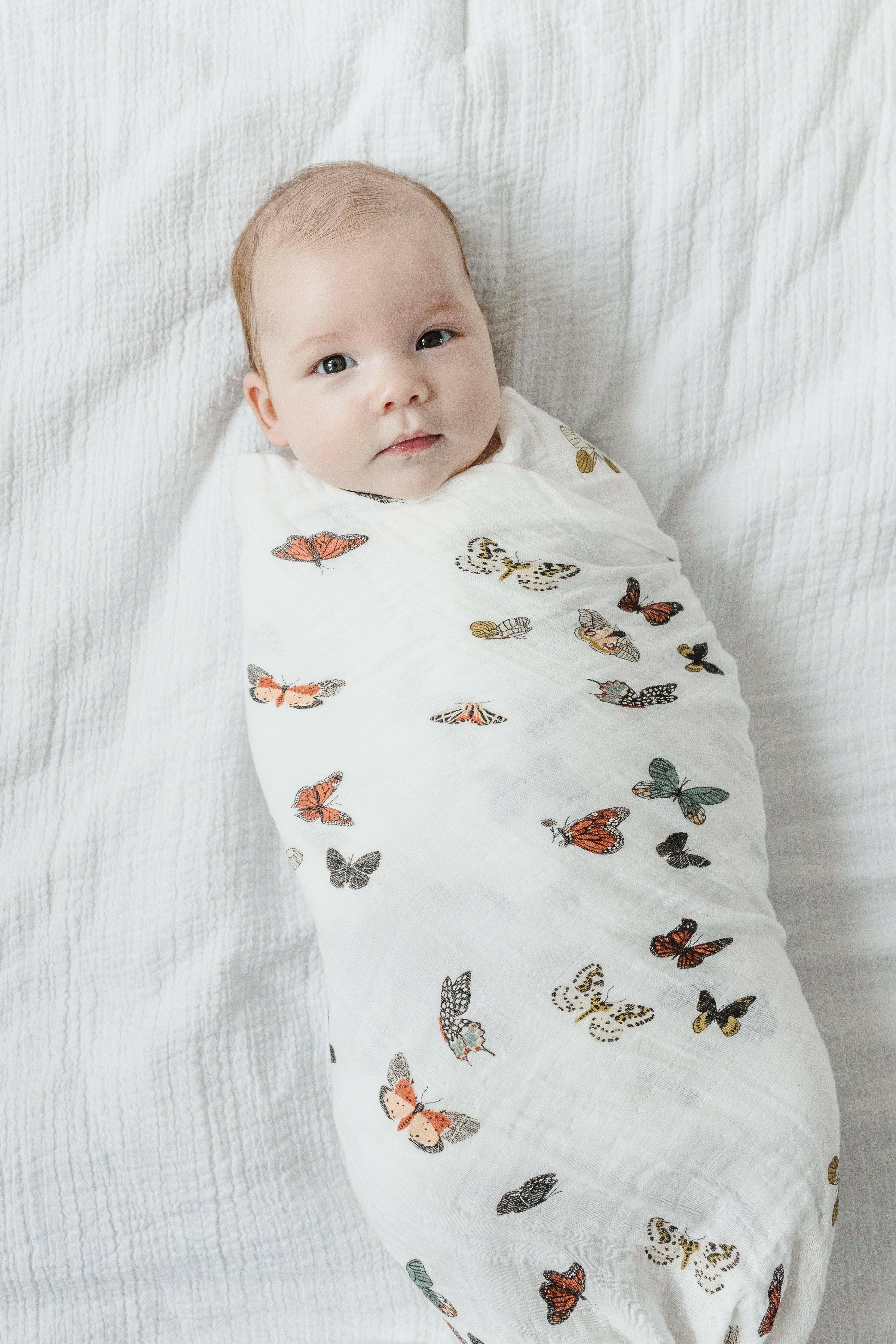 Butterfly Migration Swaddle Swaddles Clementine Kids