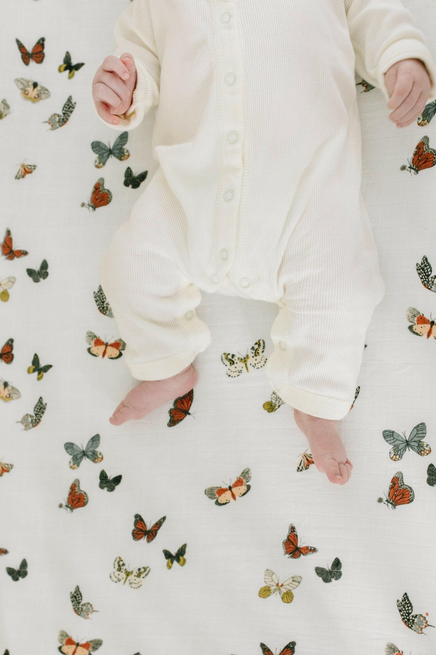 Butterfly Migration Crib Sheet Crib Sheets Clementine Kids