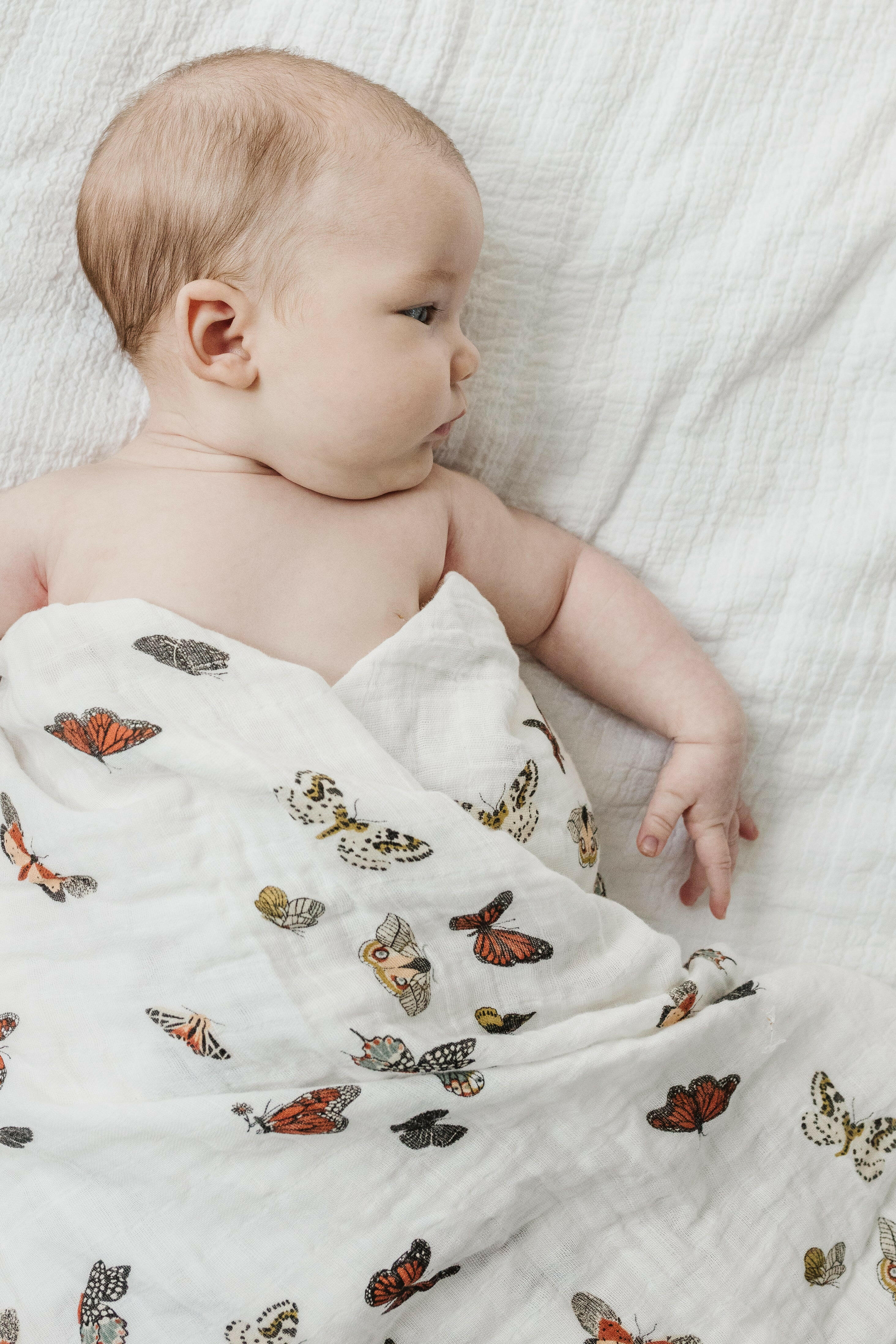 Butterfly Migration Swaddle Swaddles Clementine Kids