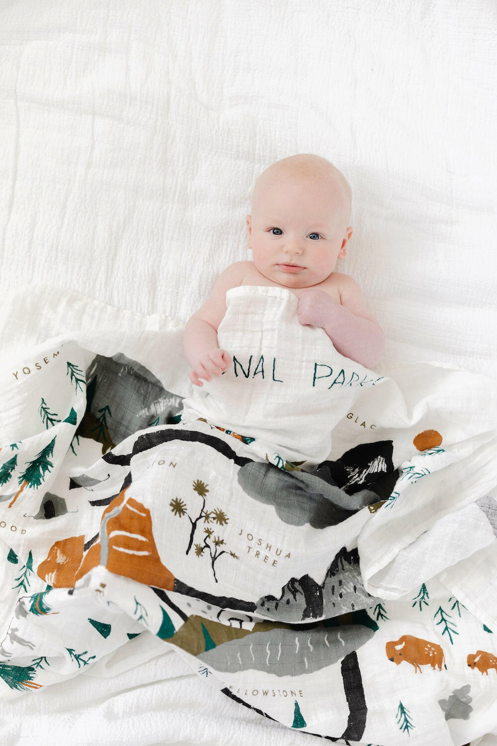 National Parks Swaddle Swaddles Clementine Kids