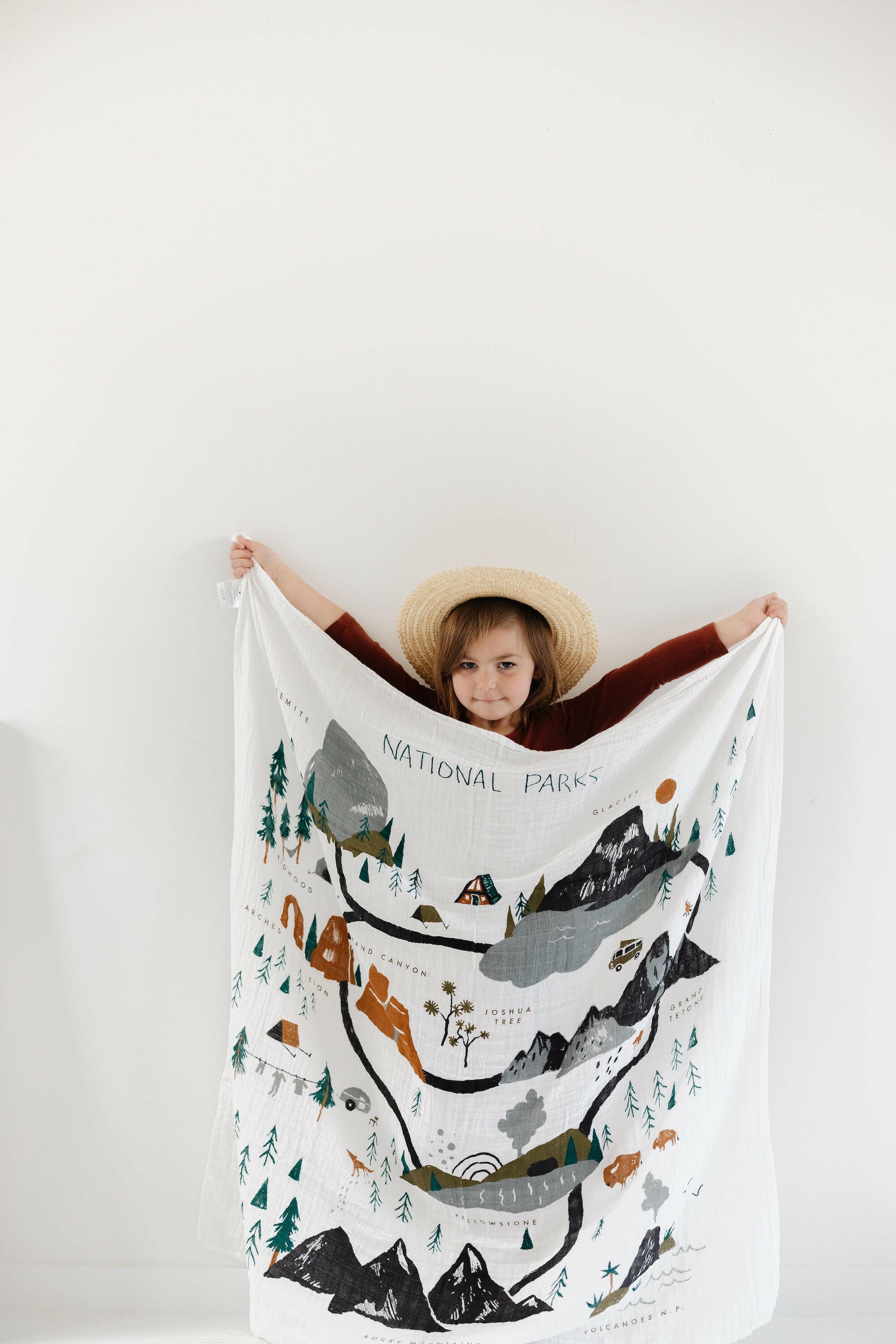 National Parks Swaddle Swaddles Clementine Kids
