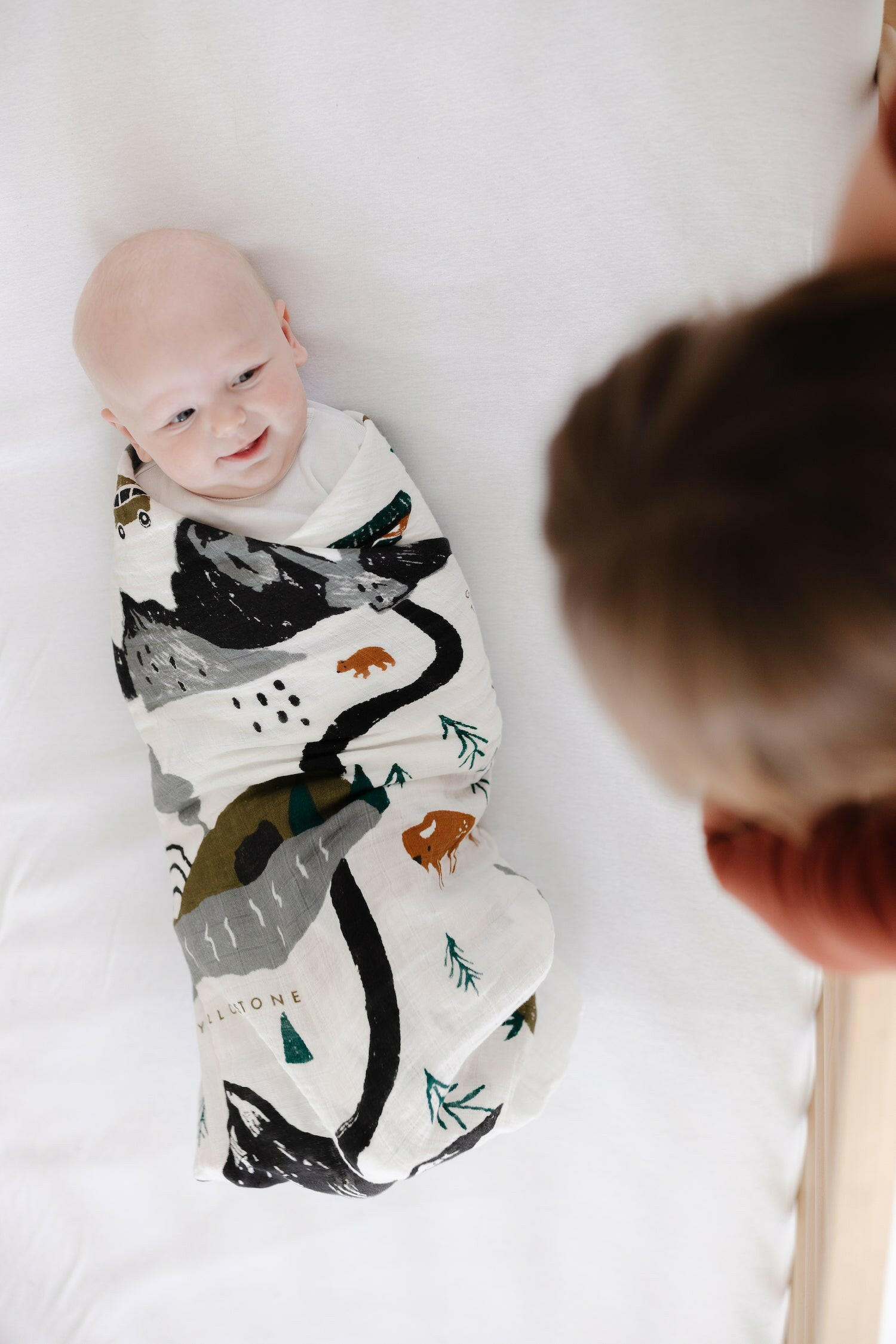 National Parks Swaddle Swaddles Clementine Kids