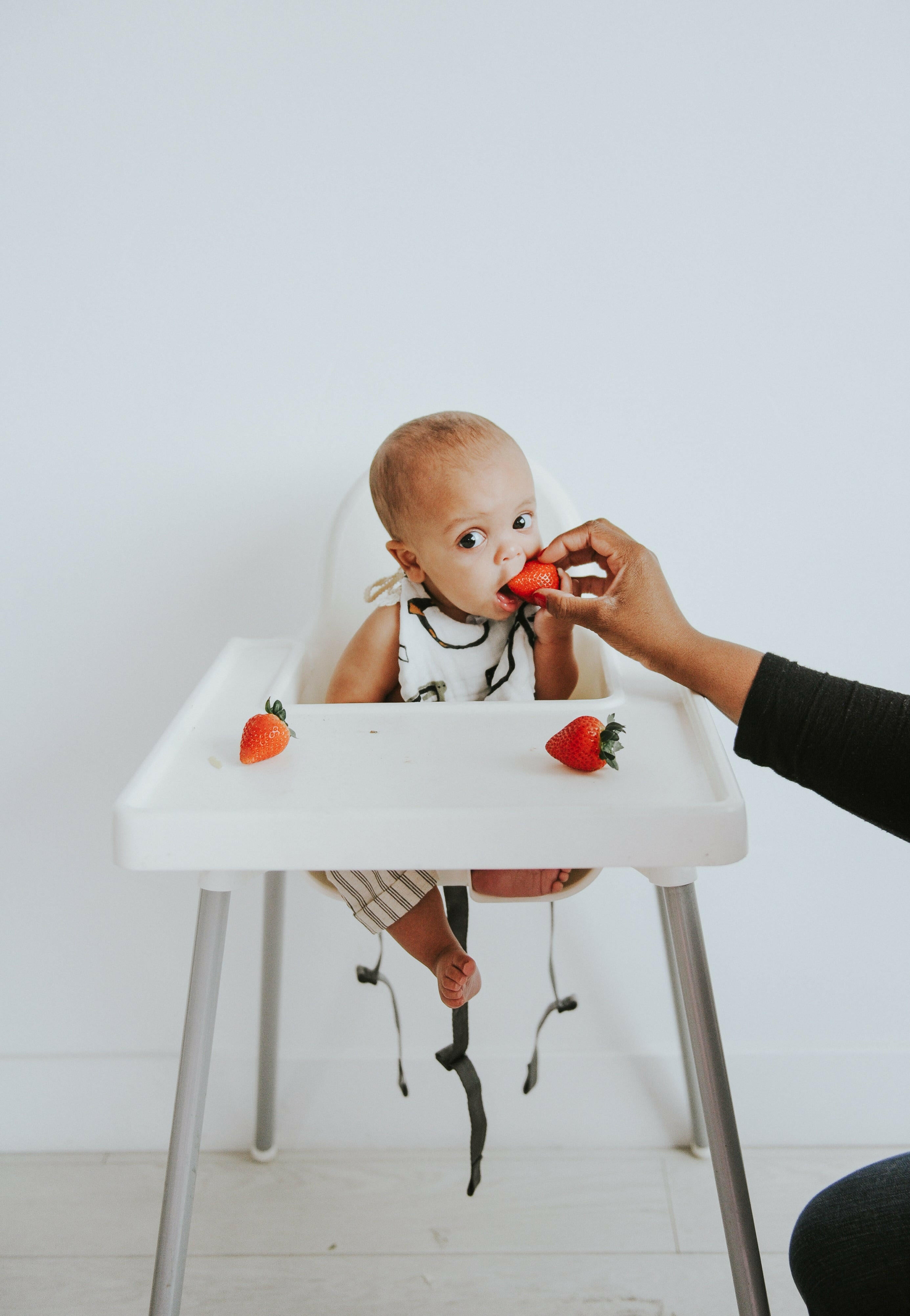 Zoology and Specs Bib Pack Bib Clementine Kids