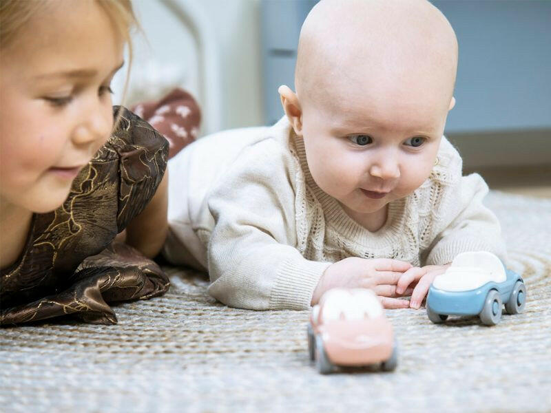 Tiny Fun Cars Cars Dantoy